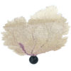Gorgone dentelle rose sur pied en marbre noir Curiosité marine (dessus 3/4)