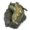 Petit oiseau mort en bronze sur bloc de granit (profil)