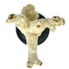 Pied de corail blanc ancien sur socle en bois tourné noir (dessus)