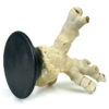 Pied de corail blanc ancien sur socle en bois tourné noir (dessous 3/4)