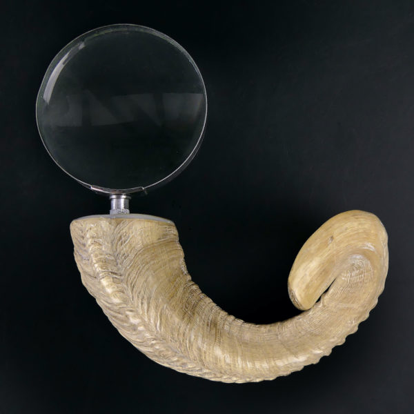 Grande loupe montée sur corne de chèvre torsadée (face)