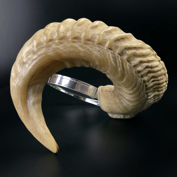 Grande loupe montée sur corne de chèvre torsadée (dos)