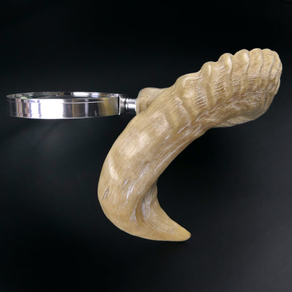 Grande loupe montée sur corne de chèvre torsadée (profil)