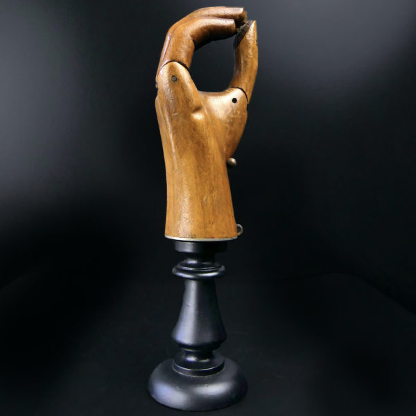 Prothèse de main Hüfner en bois articulée sur pied (profil)