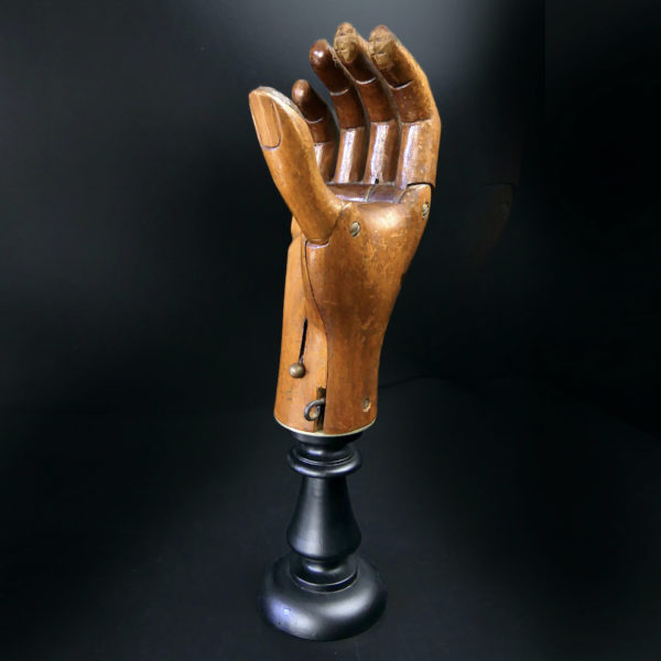 Prothèse de main Hüfner en bois articulée sur pied (3/4)