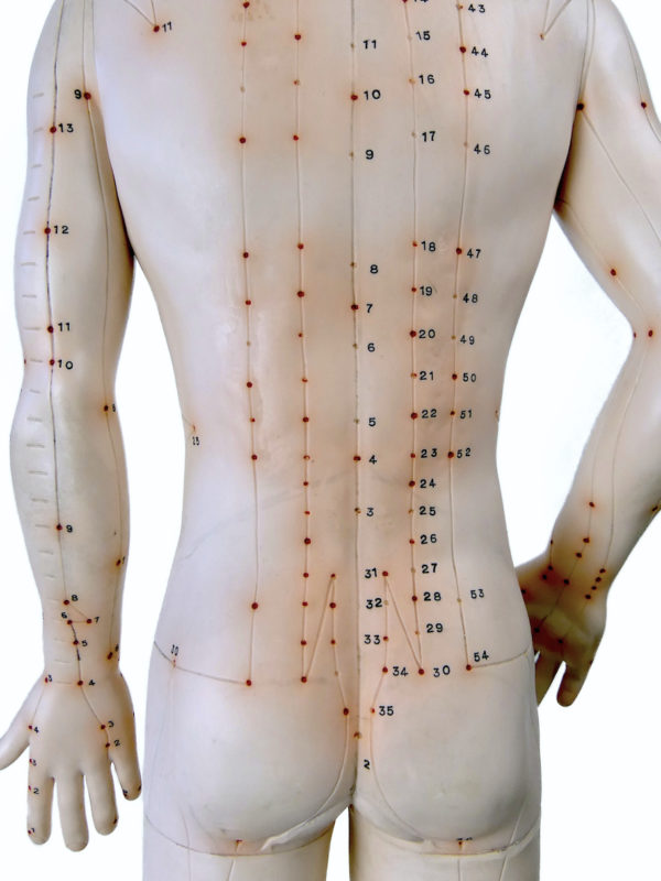 Grand mannequin d’acupuncture homme en PVC Médecine Chinoise (détail)