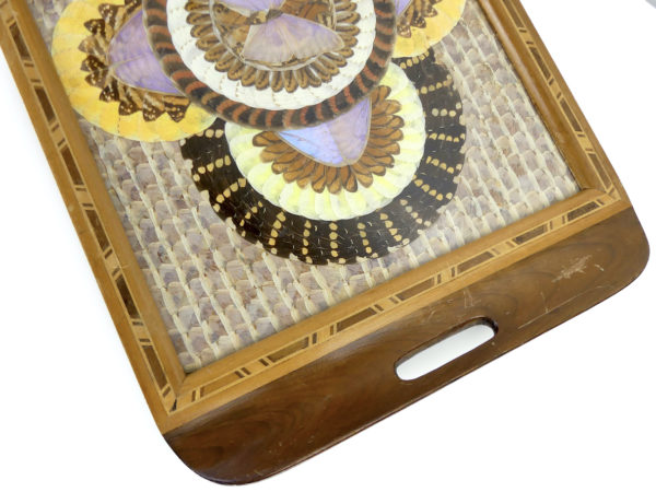 Plateau de papillons de Guyane des années 40/50 Travail de bagnard (détail)