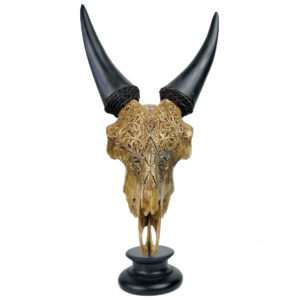 Crâne de chèvre gravé sur socle en bois tourné noir Etawah Indonésie (face)