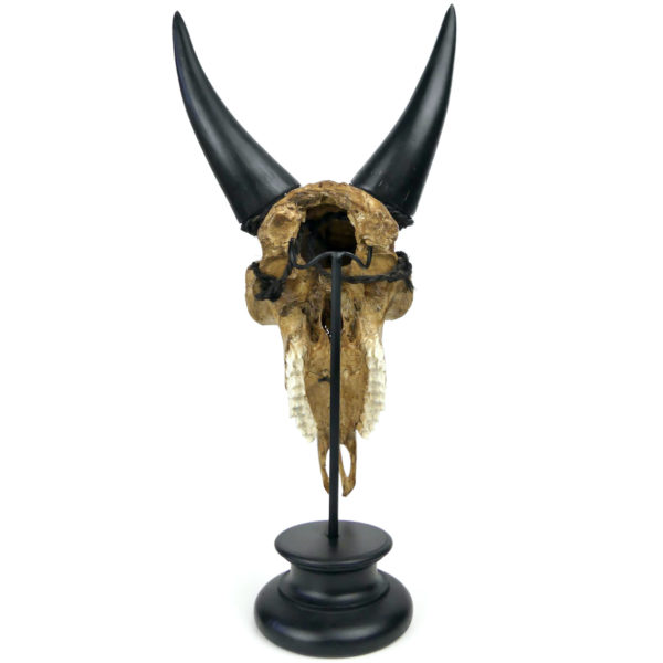 Crâne de chèvre gravé sur socle en bois tourné noir Etawah Indonésie (dos)