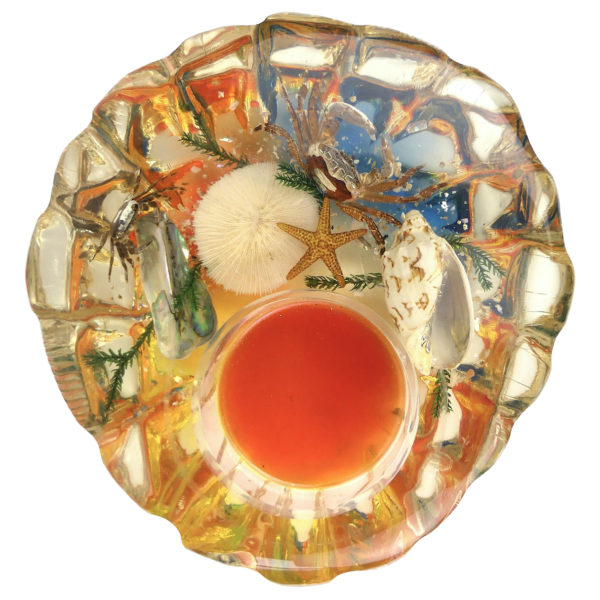 Inclusion Bord de mer coquillages crabes et étoile de mer des années 60 (dessus)