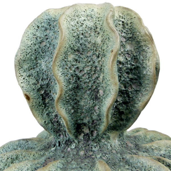 Grand vase organique double gourde vert de gris en céramique écume de mer (détail)