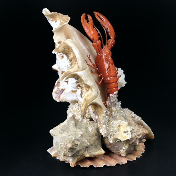 Composition bord de mer coquillages et crustacé Souvenir de vacances Années 60 (3/4)