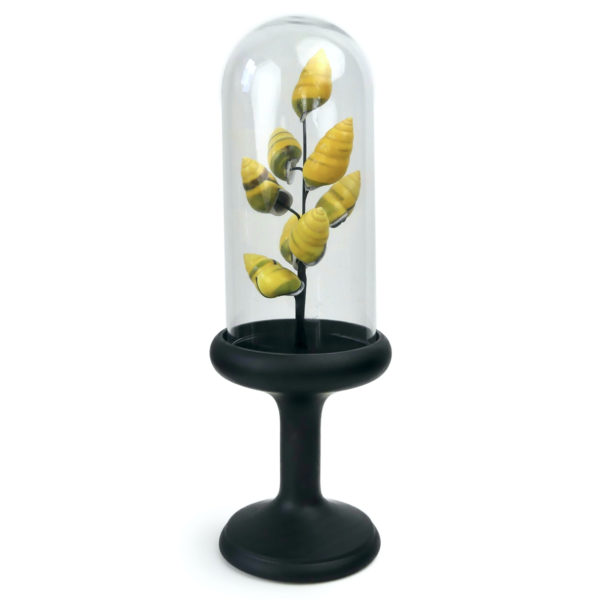 Petit arbre de coquilles jaunes d’escargot terrestre sous cloche de verre et pied en bois noir