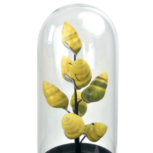 Petit arbre de coquilles jaunes d’escargot terrestre sous cloche de verre et pied en bois noir (détail)