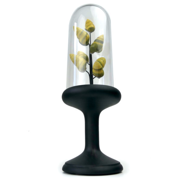 Petit arbre de coquilles jaunes d’escargot terrestre sous cloche de verre et pied en bois noir – Image 10