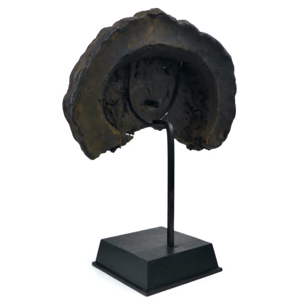 Masque de chaman népalais creusé dans un champignon Lingzhi sur socle noir (3/4 dos)