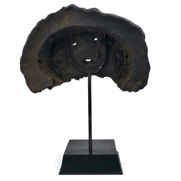 Masque de chaman népalais creusé dans un champignon Lingzhi sur socle noir (dos)