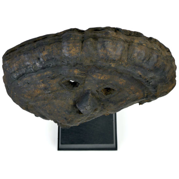 Masque de chaman népalais creusé dans un champignon Lingzhi sur socle noir (dessus)