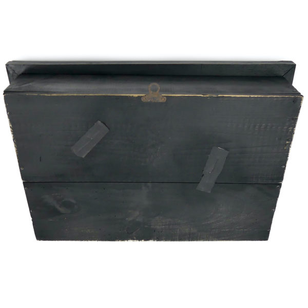 Taxidermie ancienne Felis catus chat et souris momifiés caisse en bois noir vitrée (dos)