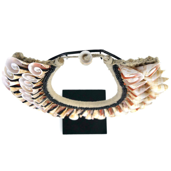 Collier de coquillages papou (dessus)