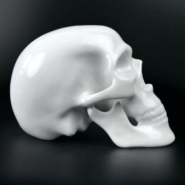 Crâne en porcelaine blanche émaillée Échelle 1:1 Vanité Memento mori (profil)