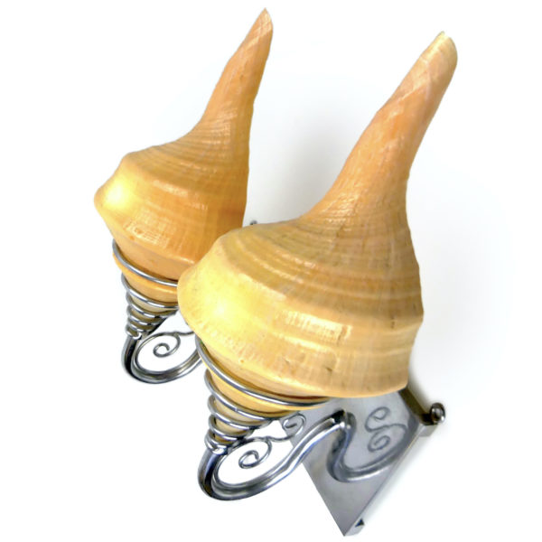 Deux appliques coquillages Syrinx aruanus montés en lampes murales Indonésie (3/4)