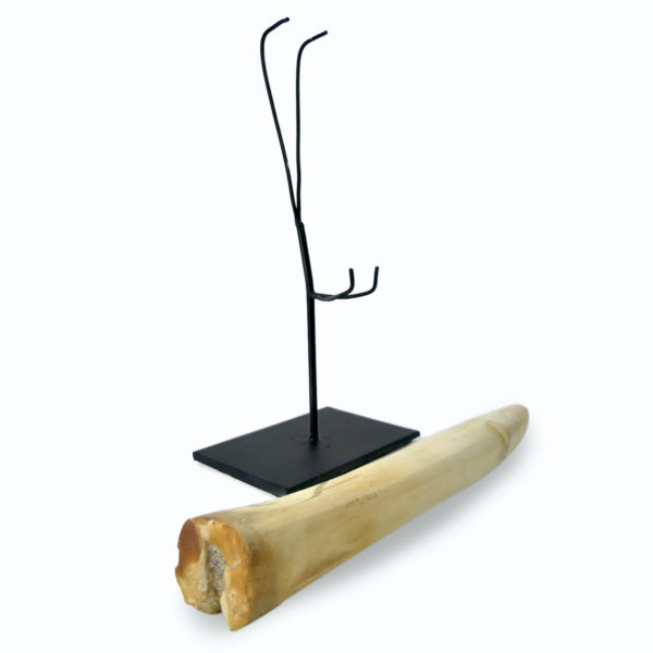 Godemichet ancien en os sur socle noir Consolateur Curiosia Erotica (3/4)