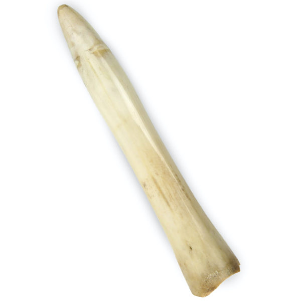 Godemichet ancien en os sur socle noir Consolateur Curiosia Erotica (dessus)