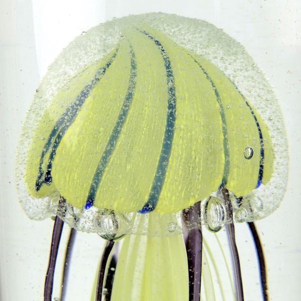 Grande sulfure méduse tricolore en verre transparent cylindrique (détail)