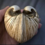 Monika-Pologne-Etsy-OviryEtMoi