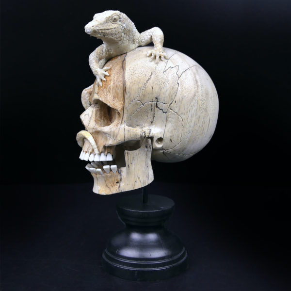 Crâne au lézard en bois de tamarin et bois de cerf sur pied Vanité Memento mori (profil)