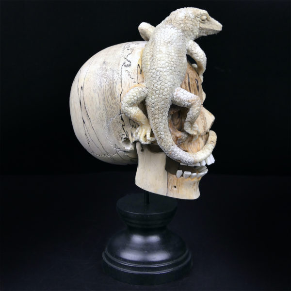 Crâne au lézard en bois de tamarin et bois de cerf sur pied Vanité Memento mori (profil)