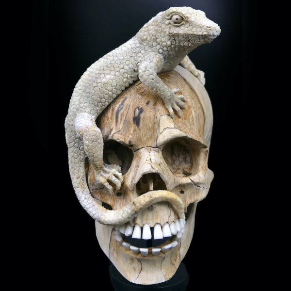 Crâne au lézard en bois de tamarin et bois de cerf sur pied Vanité Memento mori (face)