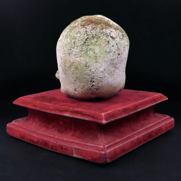 Crâne en pierre sculptée sur piédestal en velours rouge Vanité Memento mori (dos)