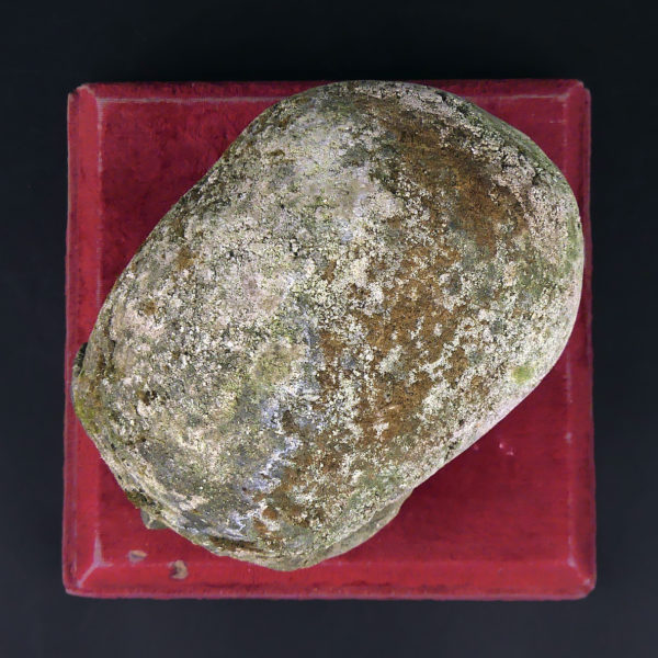 Crâne en pierre sculptée sur piédestal en velours rouge Vanité Memento mori (dessus)