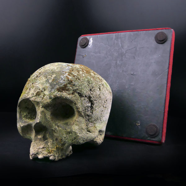 Crâne en pierre sculptée sur piédestal en velours rouge Vanité Memento mori (détail)